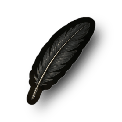 Black feather