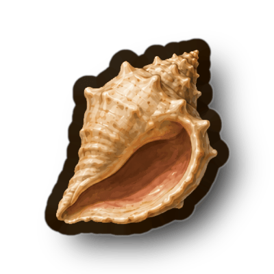 Conch Shell