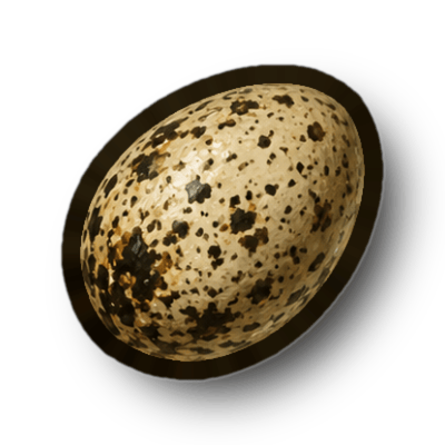 Bird Egg