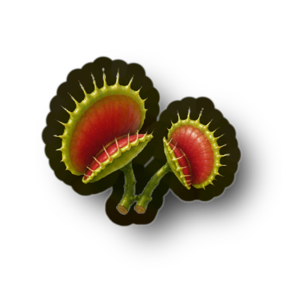 Venus Flytrap